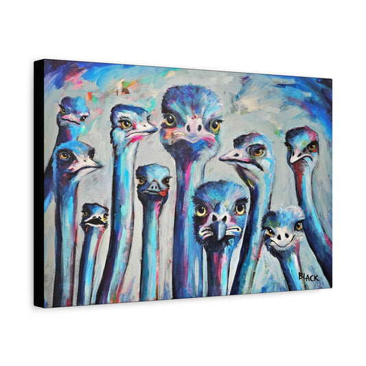 Faces Of Hope - Colourful Ostrich Canvas Wall Art, Quirky Animal Decor, Unique Home Decoration, Bird Lovers Gift, Fun Print